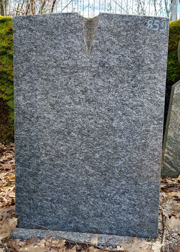 tombeau no. 859