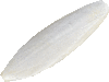 Pelures sépia entières, environ 20-25 cm de long, 1a produit naturel